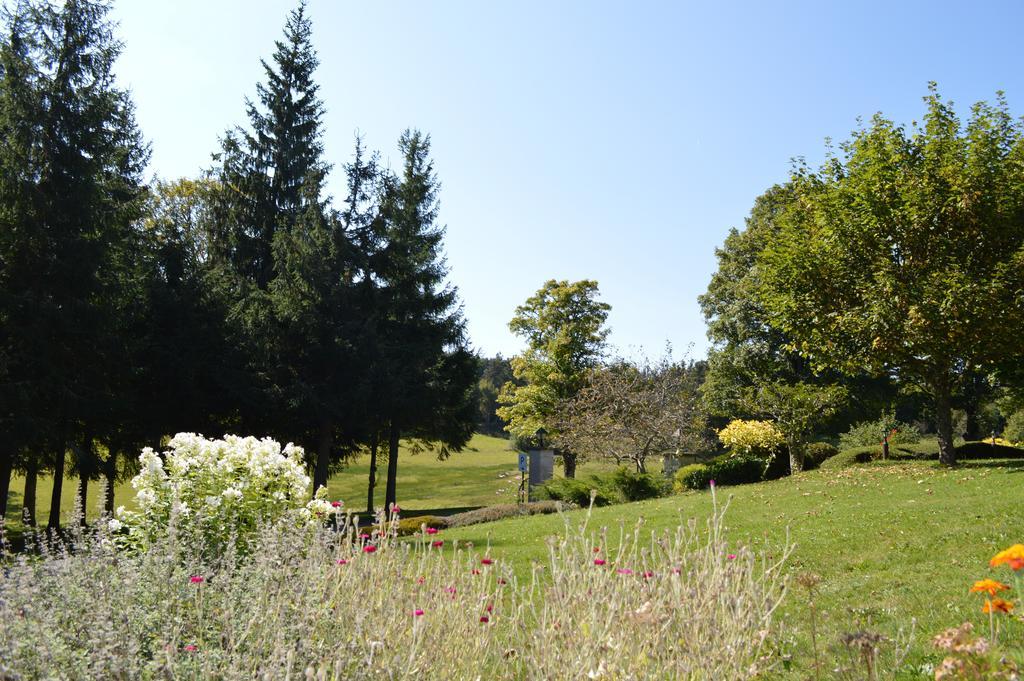 Logis Hotel Le Relais Du Bois Vialotte Le Chambon-sur-Lignon Exterior foto